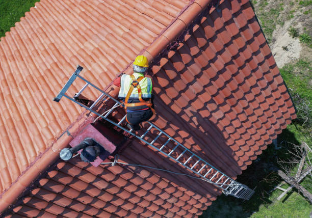 Best Roof Moss and Algae Removal  in Long Beach, CA